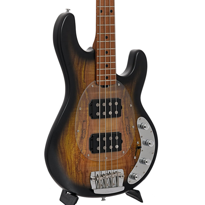 Sterling by Music Man StingRay 34HH Spalted Maple Bass