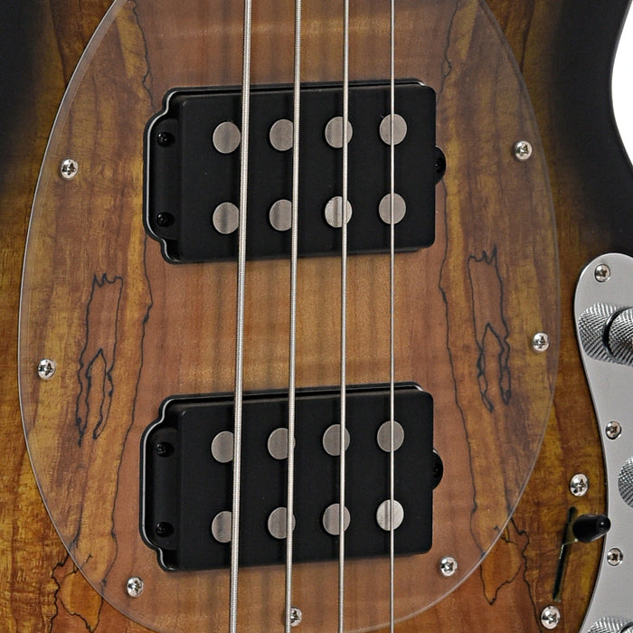 Sterling by Music Man StingRay 34HH Spalted Maple Bass