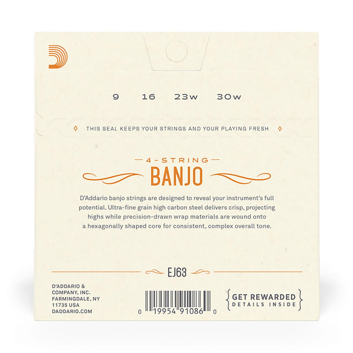 DAddario 9-30 Medium Tenor Banjo Strings, Nickel