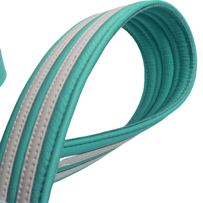 Franklin Strap 2.5 inch Hot Rod Guitar Strap, Seafoam Green